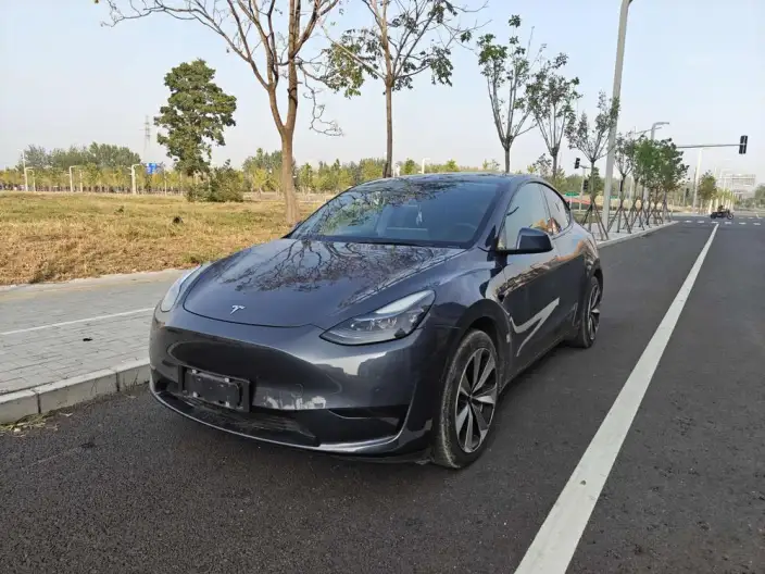 Model Y 2022 Model Rear-wheel drive version – фото 1