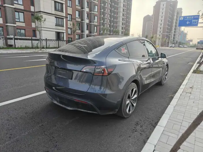 Model Y 2022 Model Rear-wheel drive version – фото 6