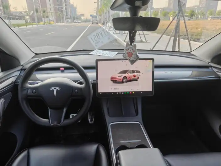 Model Y 2022 Model Rear-wheel drive version – фото 8