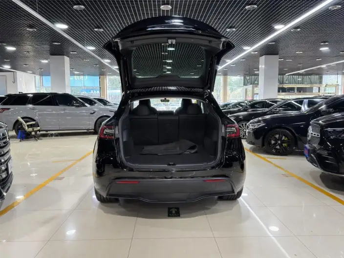Model Y 2023 Model Rear-wheel drive version – фото 6
