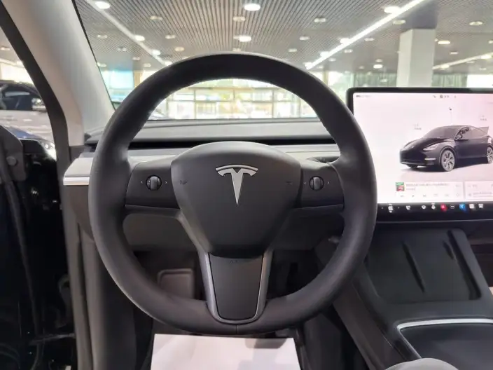 Model Y 2023 Model Rear-wheel drive version – фото 9