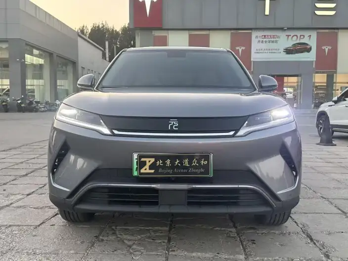 Yuan UP 2025 Model 301KM Pilot Model