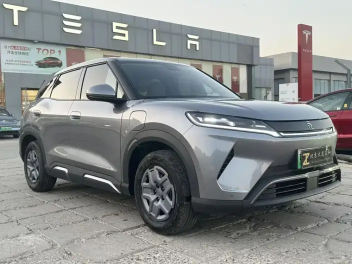 Yuan UP 2025 Model 301KM Pilot Model