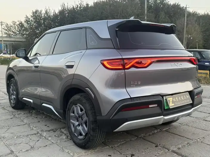 Yuan UP 2025 Model 301KM Pilot Model