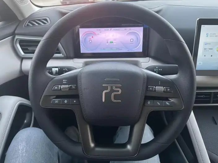 Yuan UP 2025 Model 301KM Pilot Model – фото 10