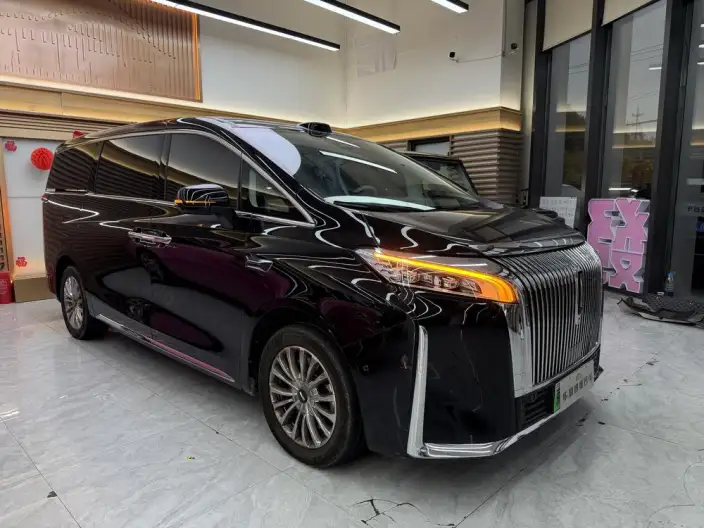 Wey Gaoshan P HEV 2025 Model 4WD Wey Gaoshan 8