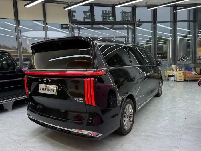 Wey Gaoshan P HEV 2025 Model 4WD Wey Gaoshan 8 – фото 6