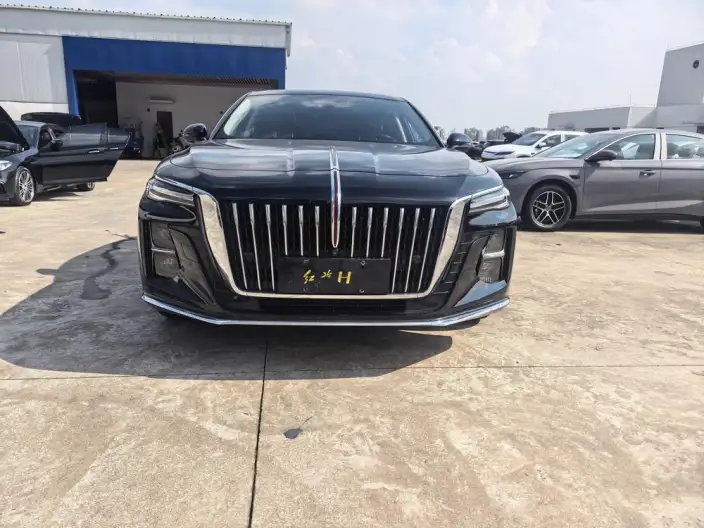 Hongqi H5 2023 Model 2.0T Automatic Flag Enjoy Edition – фото 2