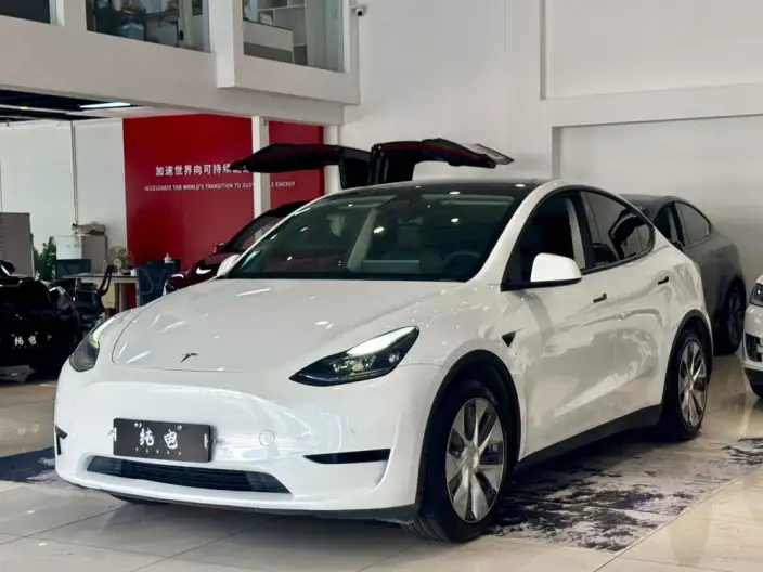 Model Y 2022 Model Rear-wheel drive version