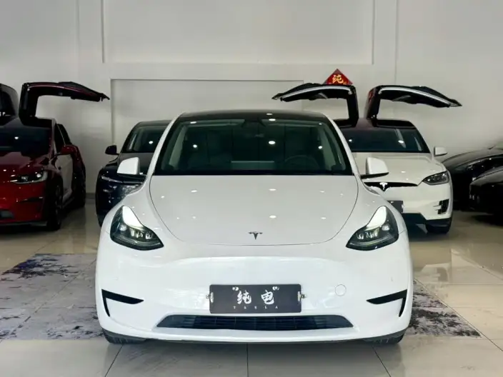 Model Y 2022 Model Rear-wheel drive version