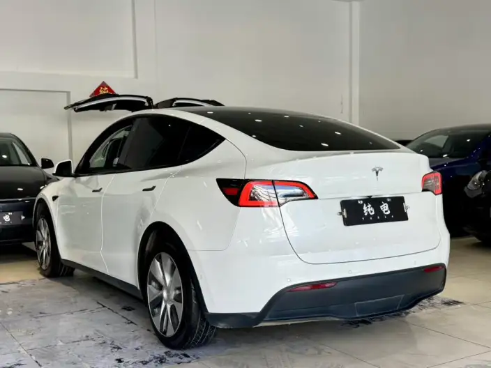 Model Y 2022 Model Rear-wheel drive version – фото 5
