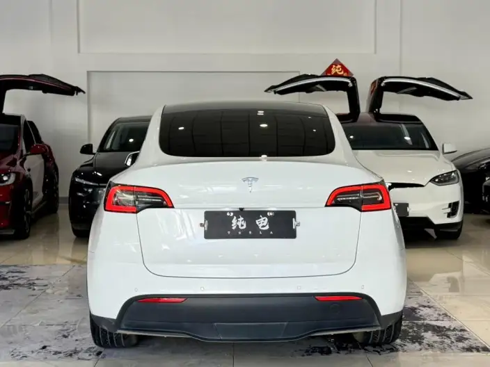 Model Y 2022 Model Rear-wheel drive version – фото 6