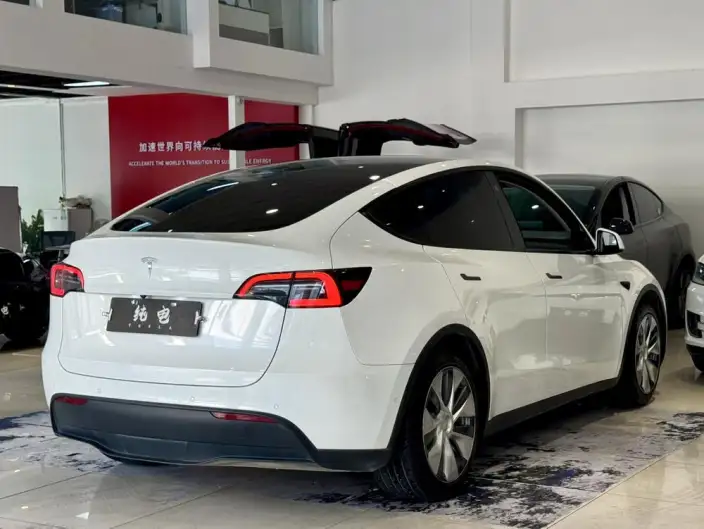 Model Y 2022 Model Rear-wheel drive version – фото 7