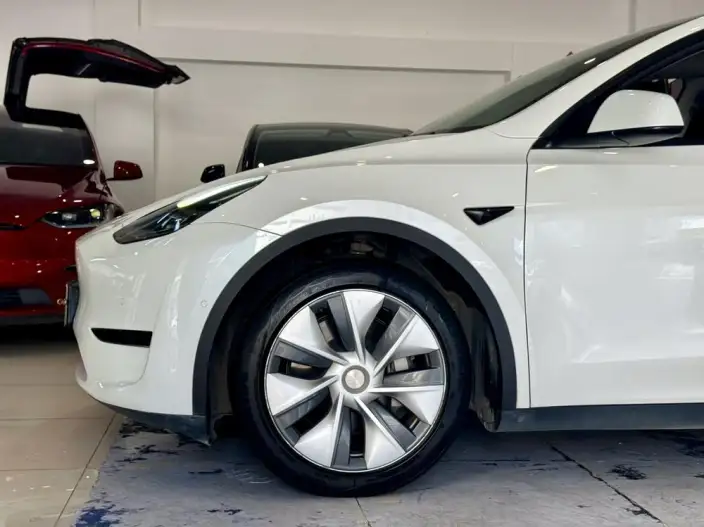 Model Y 2022 Model Rear-wheel drive version – фото 9