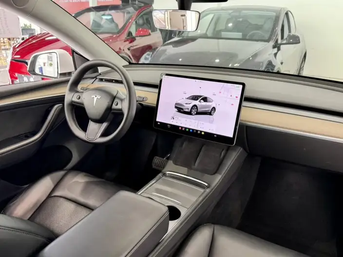 Model Y 2022 Model Rear-wheel drive version – фото 10