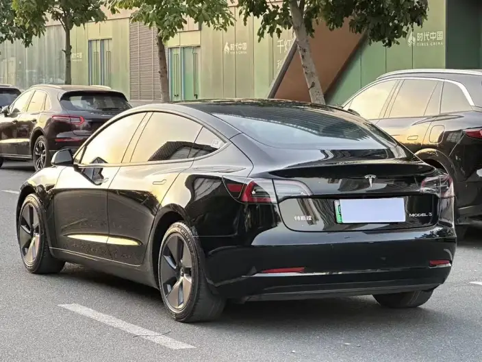 Model 3 2022 Model Rear-wheel drive version – фото 5