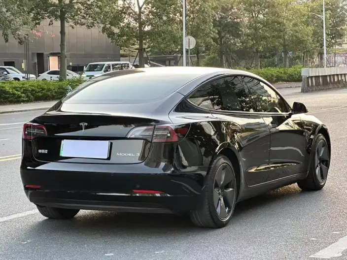 Model 3 2022 Model Rear-wheel drive version – фото 7