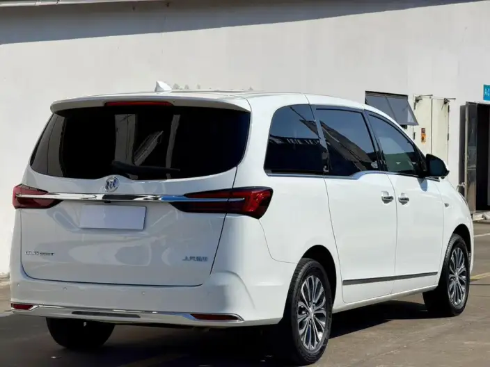 Buick GL8 2022 Model Business class 652T Luxury Model – фото 6