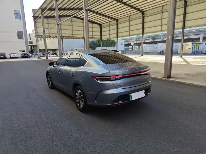 BYD Destroyer 05 2024 Model Honor Edition DM-i 55KM Luxury Model – фото 5