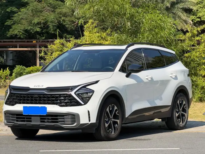 Lion Platinum 2023 Model 2.0T 2WD Premium Edition