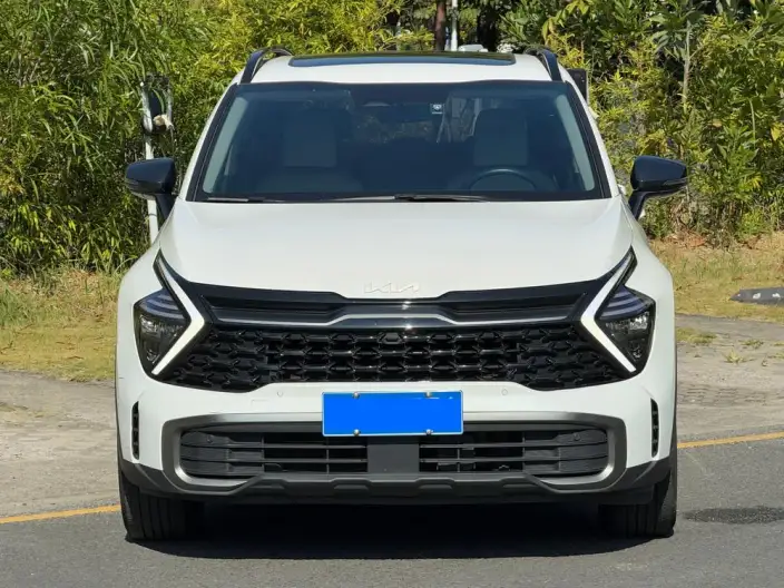 Lion Platinum 2023 Model 2.0T 2WD Premium Edition