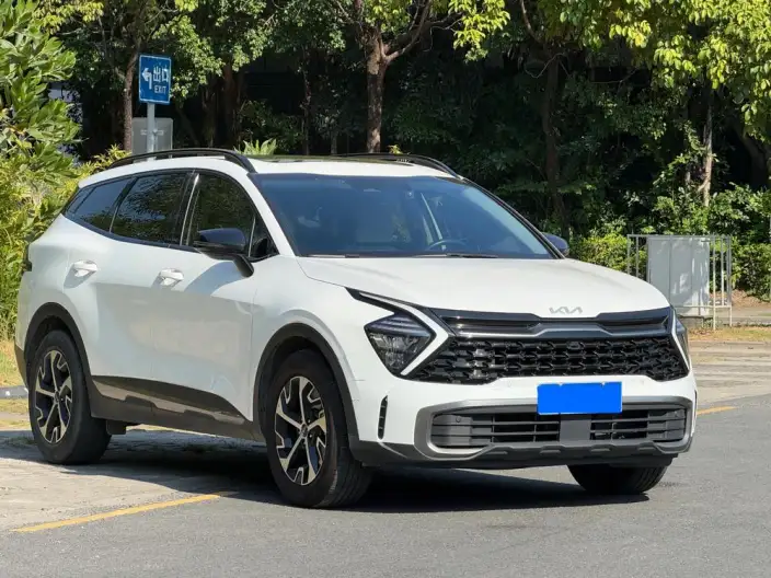 Lion Platinum 2023 Model 2.0T 2WD Premium Edition