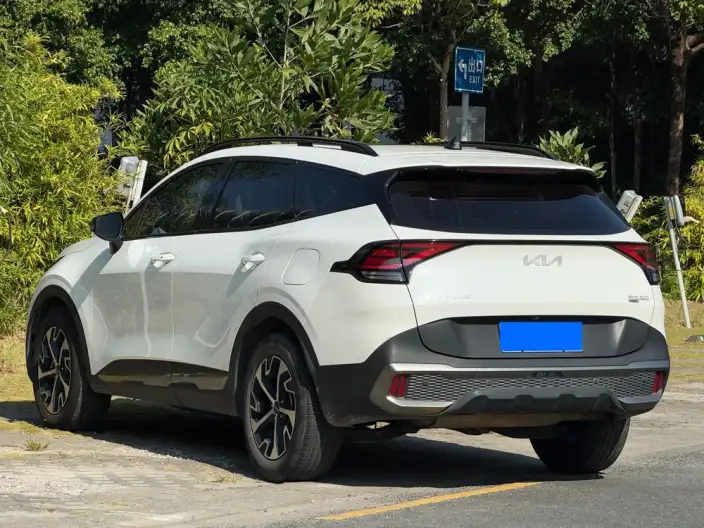 Lion Platinum 2023 Model 2.0T 2WD Premium Edition