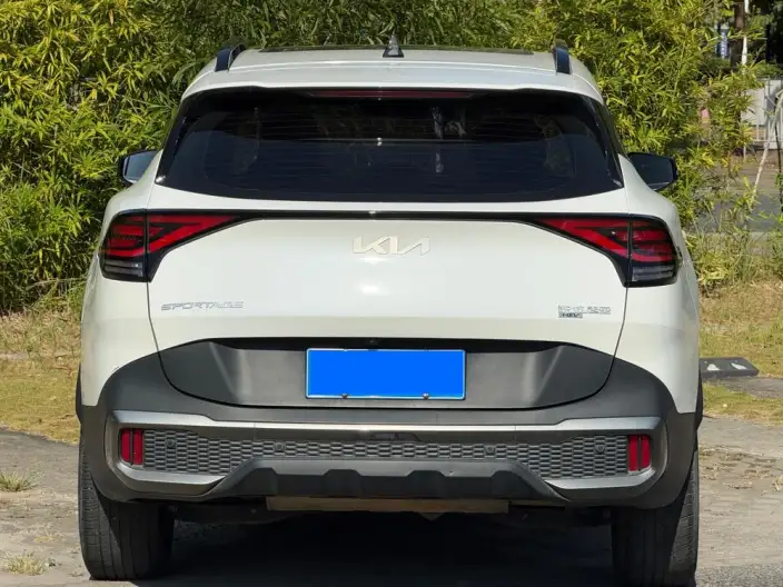 Lion Platinum 2023 Model 2.0T 2WD Premium Edition – фото 5
