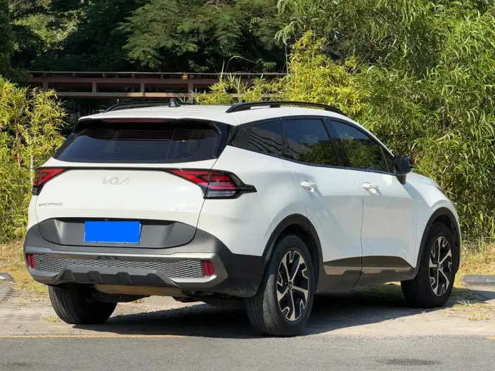 Lion Platinum 2023 Model 2.0T 2WD Premium Edition – фото 6
