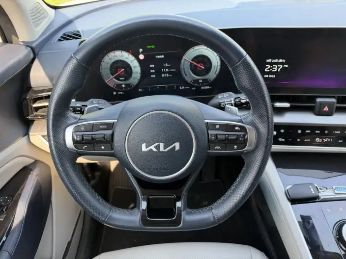 Lion Platinum 2023 Model 2.0T 2WD Premium Edition – фото 8