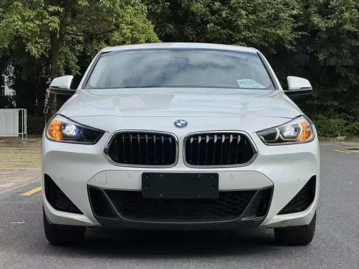 BMW X2 2021 Model xDrive25i M Sports Set – фото 2