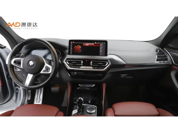 BMW X4 2022 Model xDrive 30i M Sports Night Set – фото 6