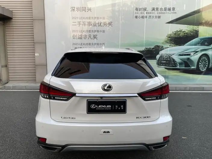 Lexus RX 2020 Model Facelift 300 4WD Elegant Edition – фото 4