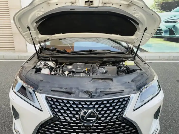 Lexus RX 2020 Model Facelift 300 4WD Elegant Edition – фото 6