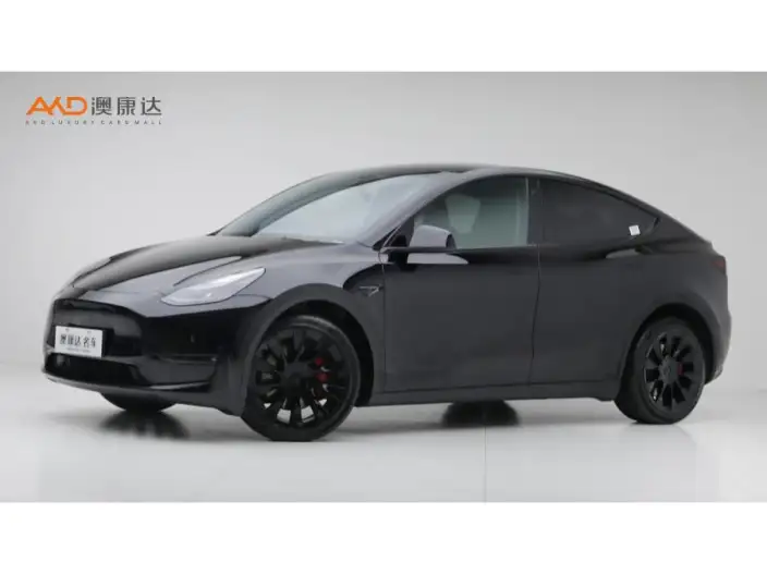Model Y 2022 Model Facelift Long Battery Life Pro All-wheel drive version – фото 1