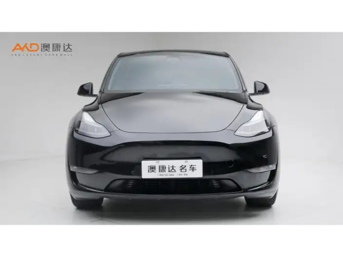 Model Y 2022 Model Facelift Long Battery Life Pro All-wheel drive version – фото 2