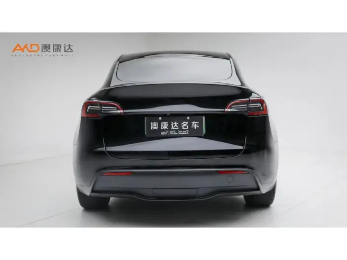 Model Y 2022 Model Facelift Long Battery Life Pro All-wheel drive version – фото 3