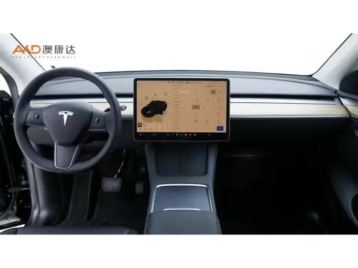 Model Y 2022 Model Facelift Long Battery Life Pro All-wheel drive version – фото 6