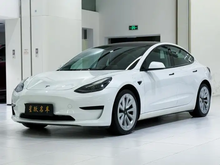 Model 3 2022 Model Rear-wheel drive version – фото 1
