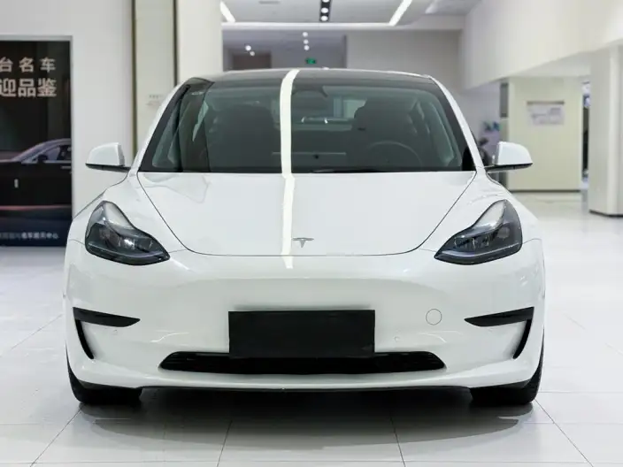 Model 3 2022 Model Rear-wheel drive version – фото 2