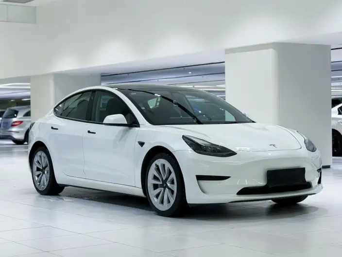 Model 3 2022 Model Rear-wheel drive version – фото 3