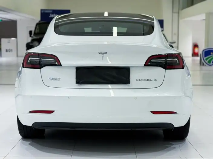Model 3 2022 Model Rear-wheel drive version – фото 5