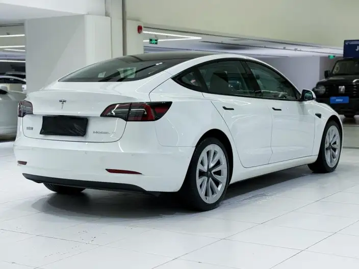 Model 3 2022 Model Rear-wheel drive version – фото 6