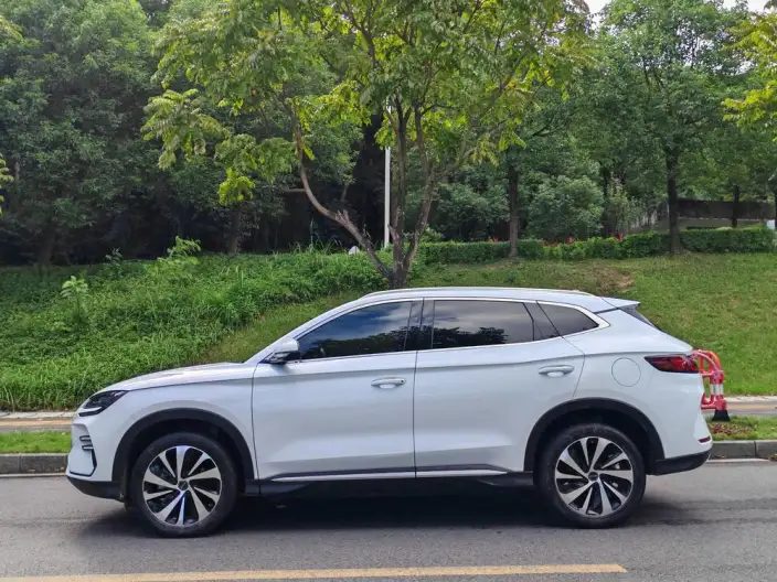 BYD Song PLUS EV 2025 Model 520KM Luxury Model – фото 4