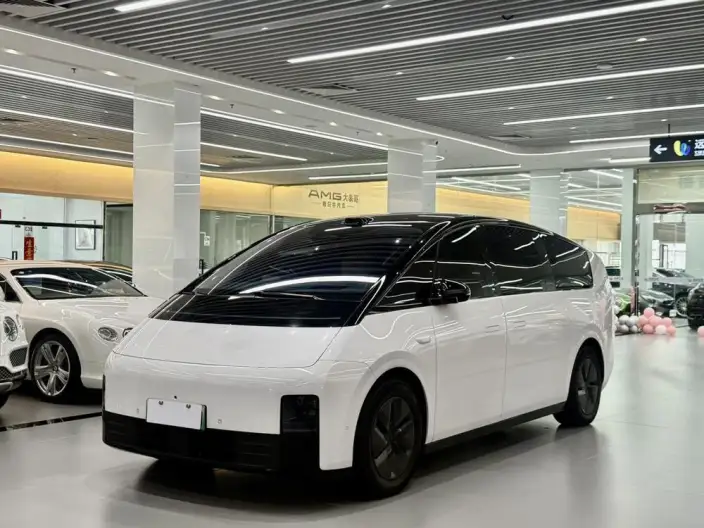 Li Auto MEGA 2025 Model Home Family Special Edition – фото 1