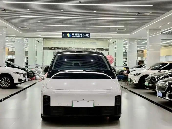 Li Auto MEGA 2025 Model Home Family Special Edition – фото 2