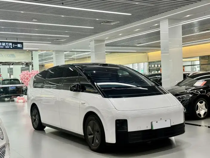 Li Auto MEGA 2025 Model Home Family Special Edition – фото 3