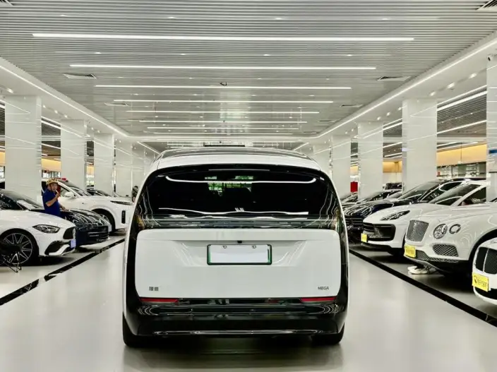 Li Auto MEGA 2025 Model Home Family Special Edition – фото 4
