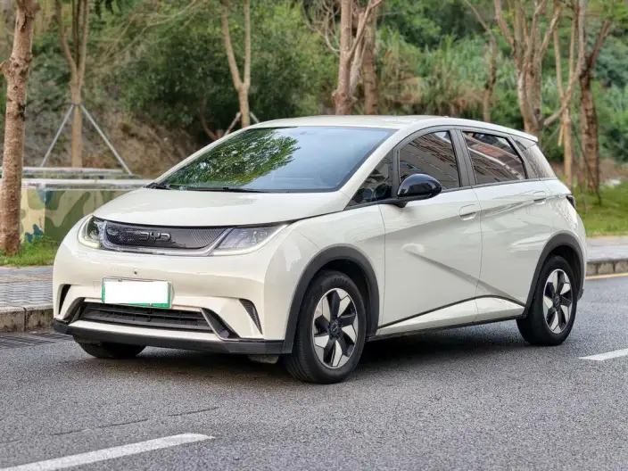BYD Dolphin 2025 Model 420KM Free Edition – фото 1
