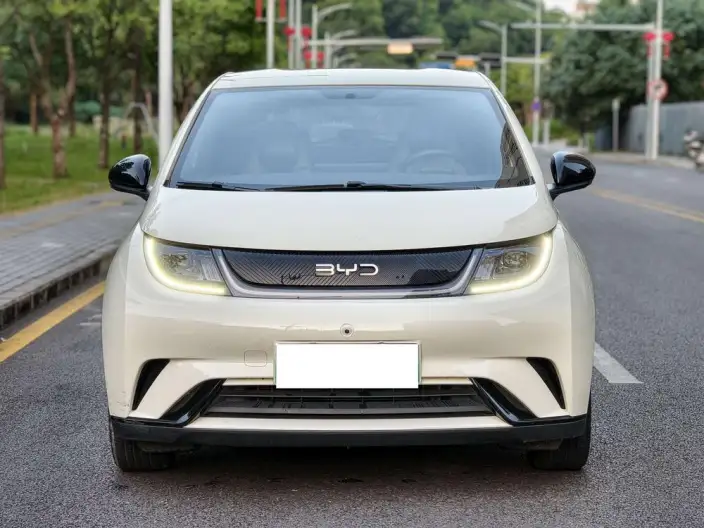 BYD Dolphin 2025 Model 420KM Free Edition – фото 2